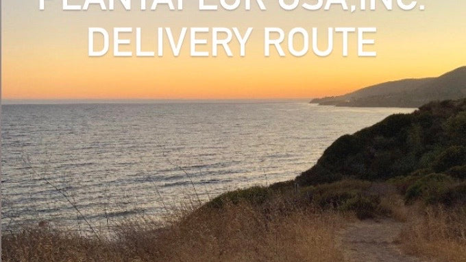 Coastal Delivery Route