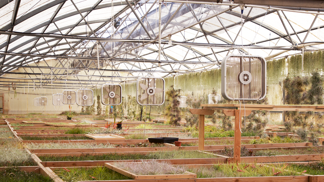 Welcome to Plantaflor USA, Inc.
