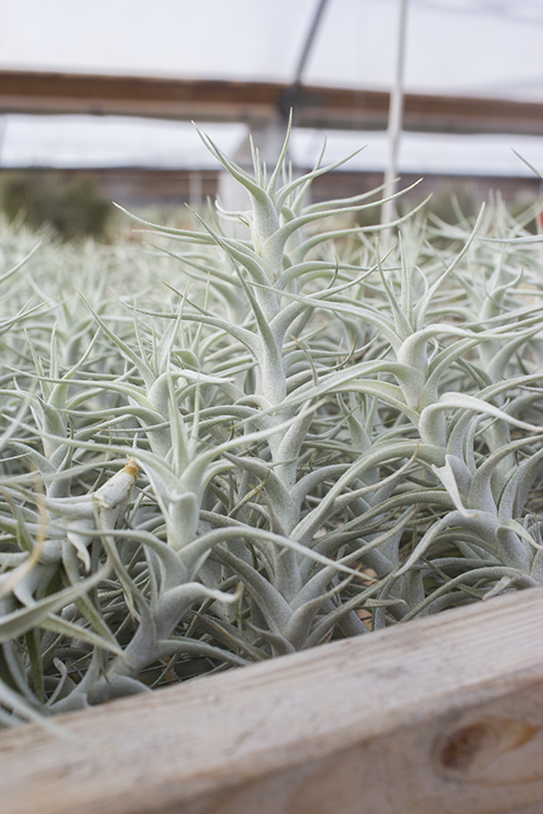 What's New in December!!!