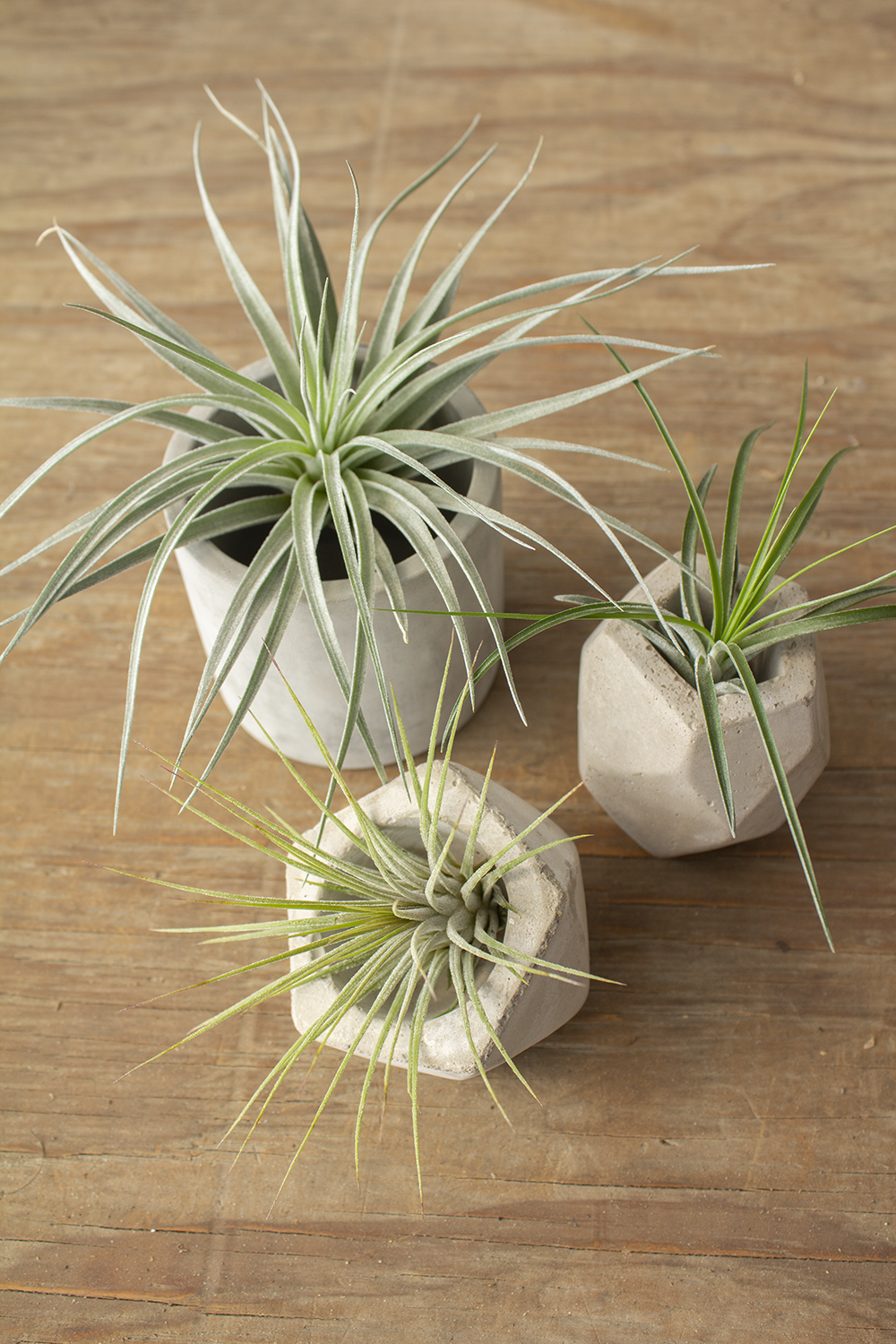 What's New in November