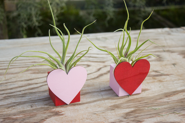 Heart Planters