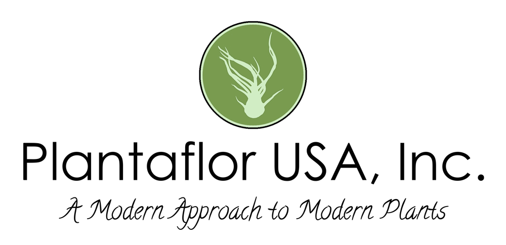 Chapeuensis v Turiformis – Plantaflor USA, Inc.
