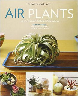 Air Plants by Zenaida Sengo